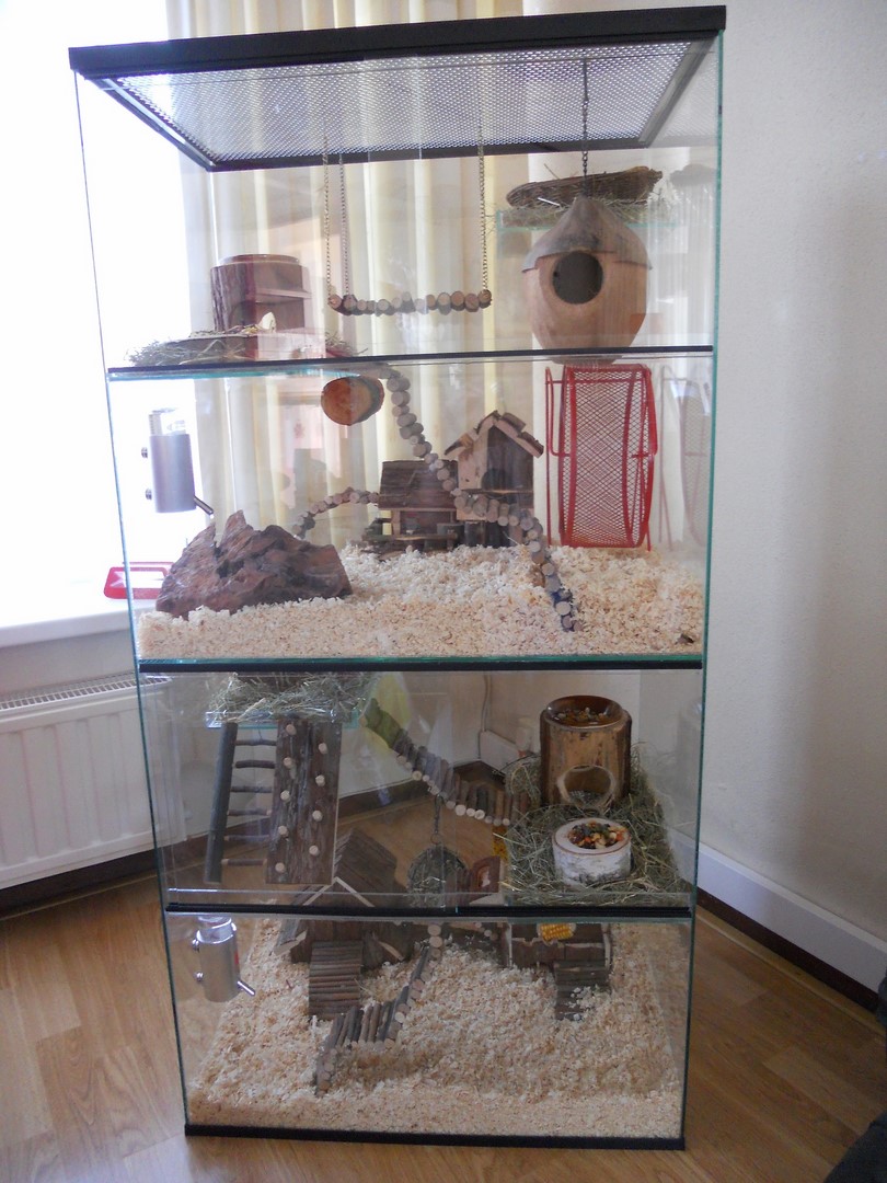 Terrarium voor knaagdieren zoals gerbils, degoes, chinchilla's, etc.