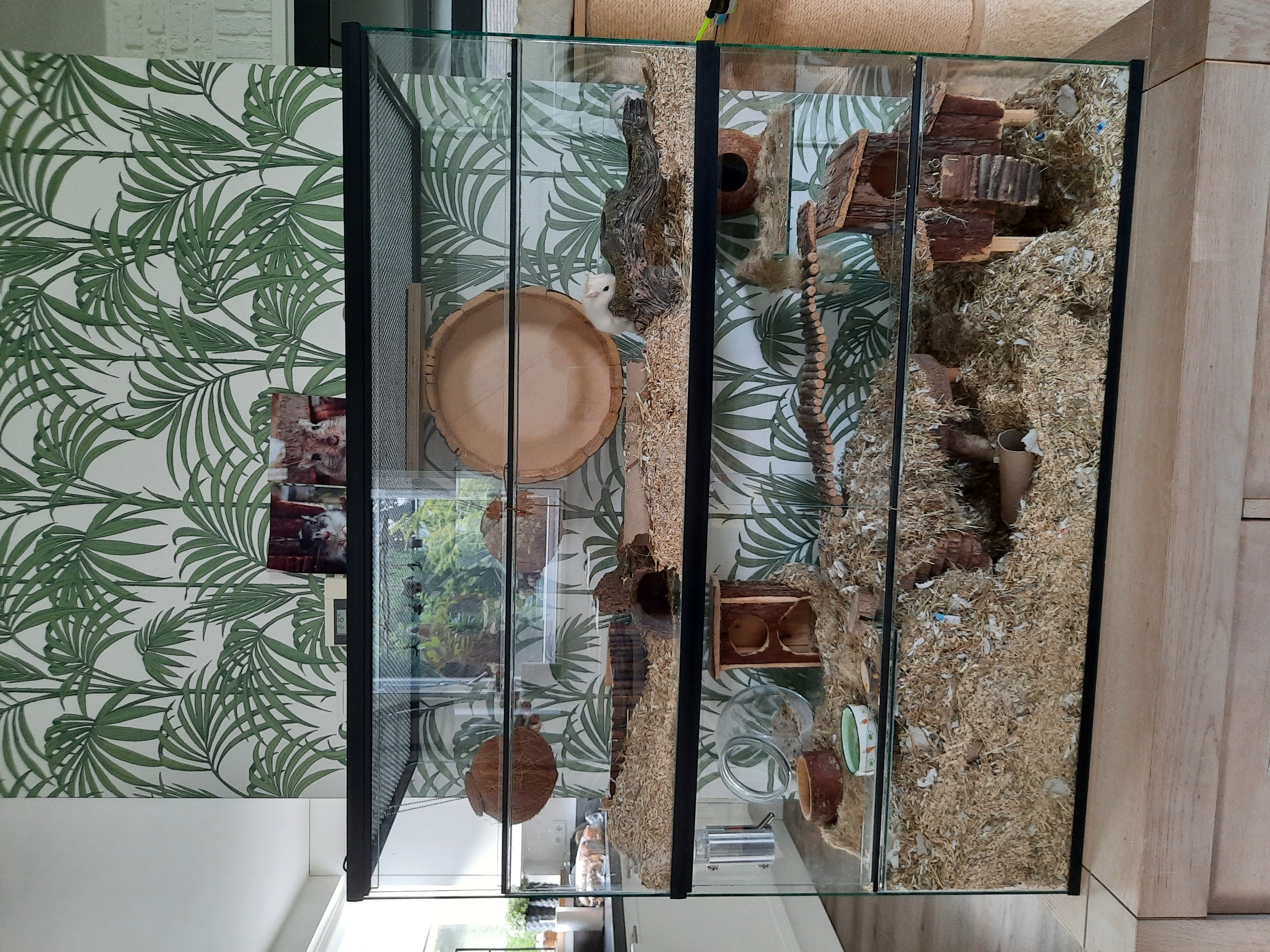 Knaagdieren terrarium met schuifruiten zonder plateaus