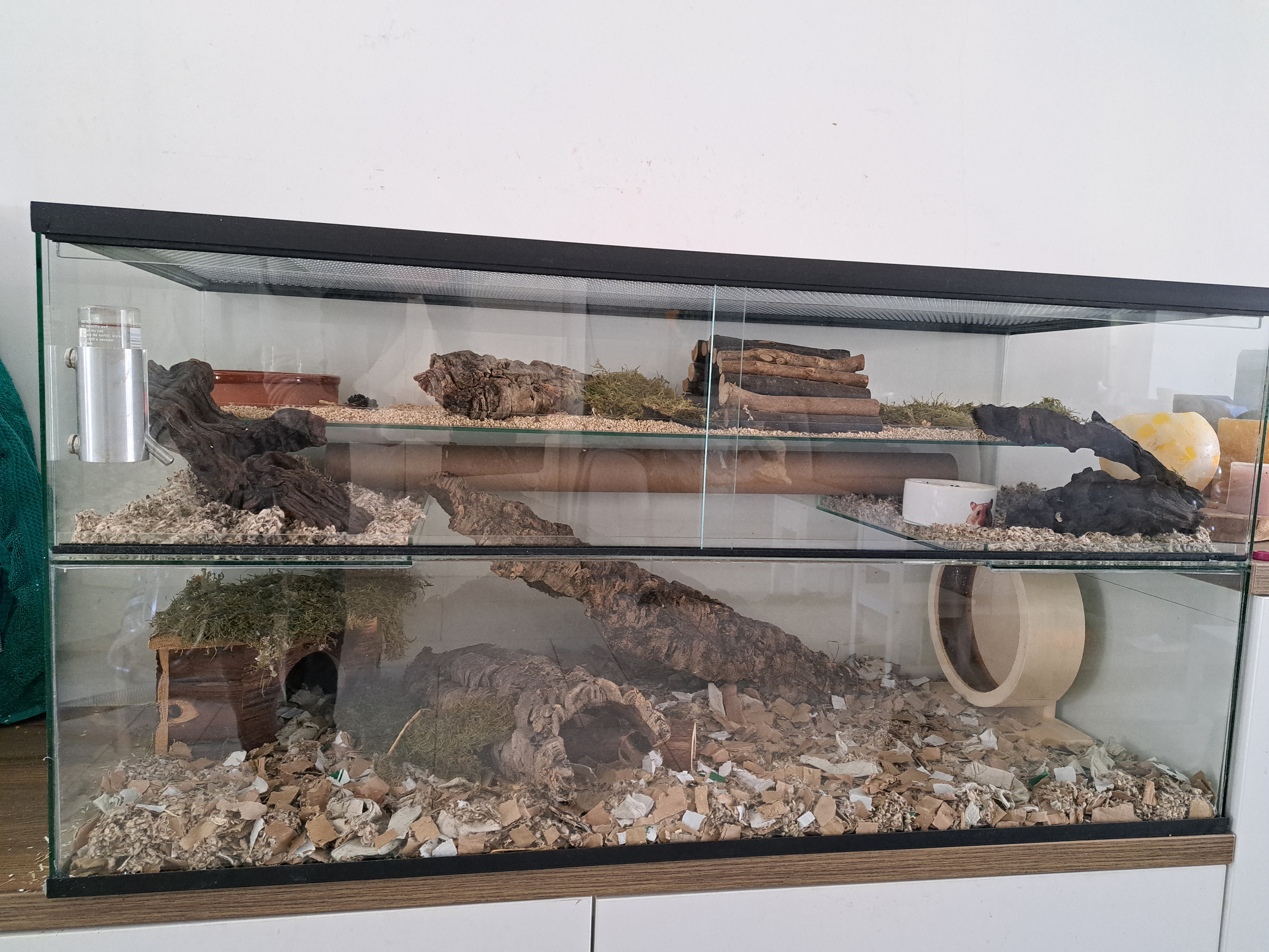 Maatwerk knaagdieren terrarium 100x41x50