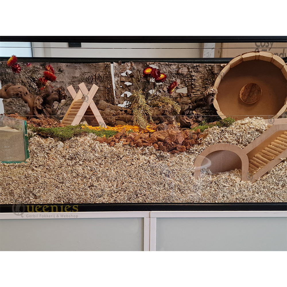 Hamsterscaping Terrarium ingericht