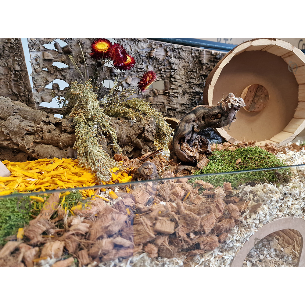 Droogbloemen voor Hamsterscaping