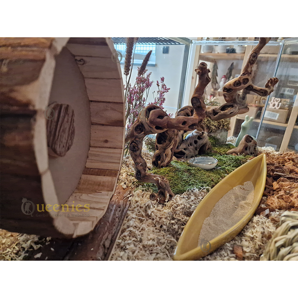 Decoratie artikelen in Hamsterscaping