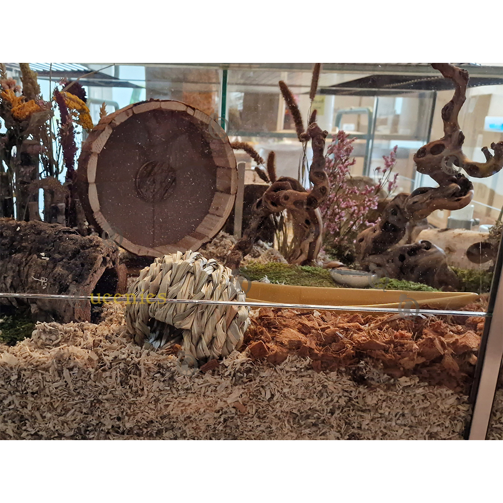 Terrarium met natuurlijke producten