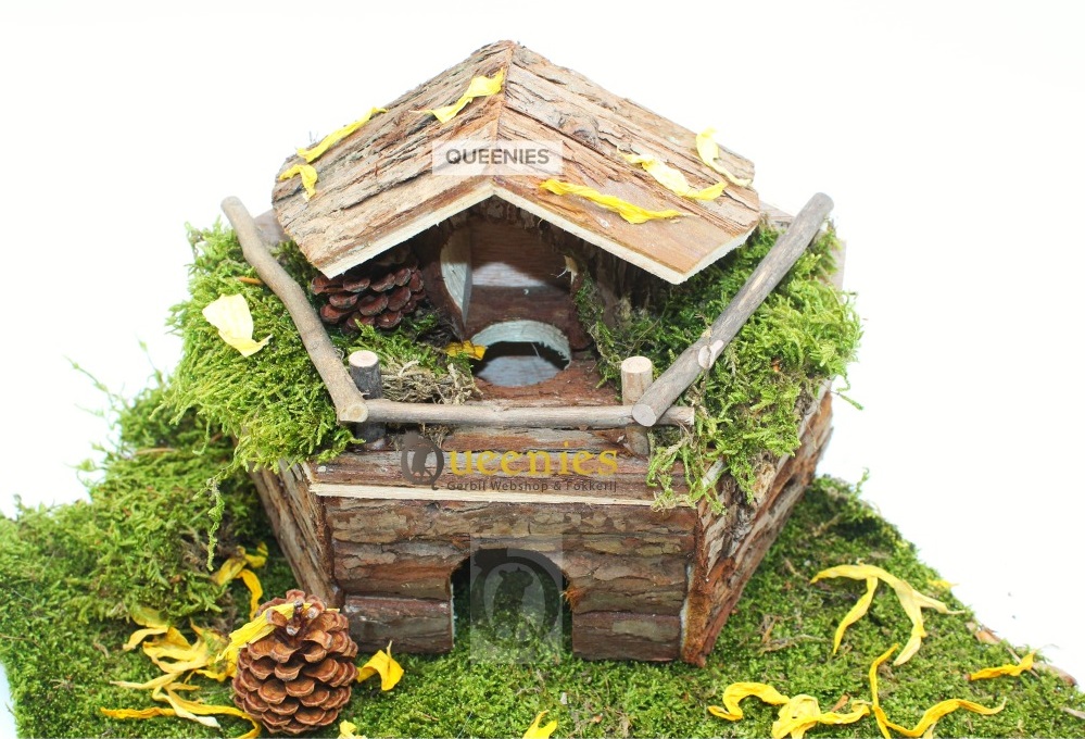Hamsterhuisje met gedroogd terrarium mos en zonnebloem blaadjes