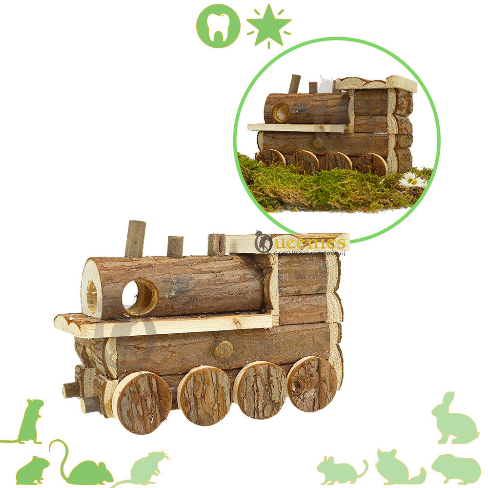 Locomotief