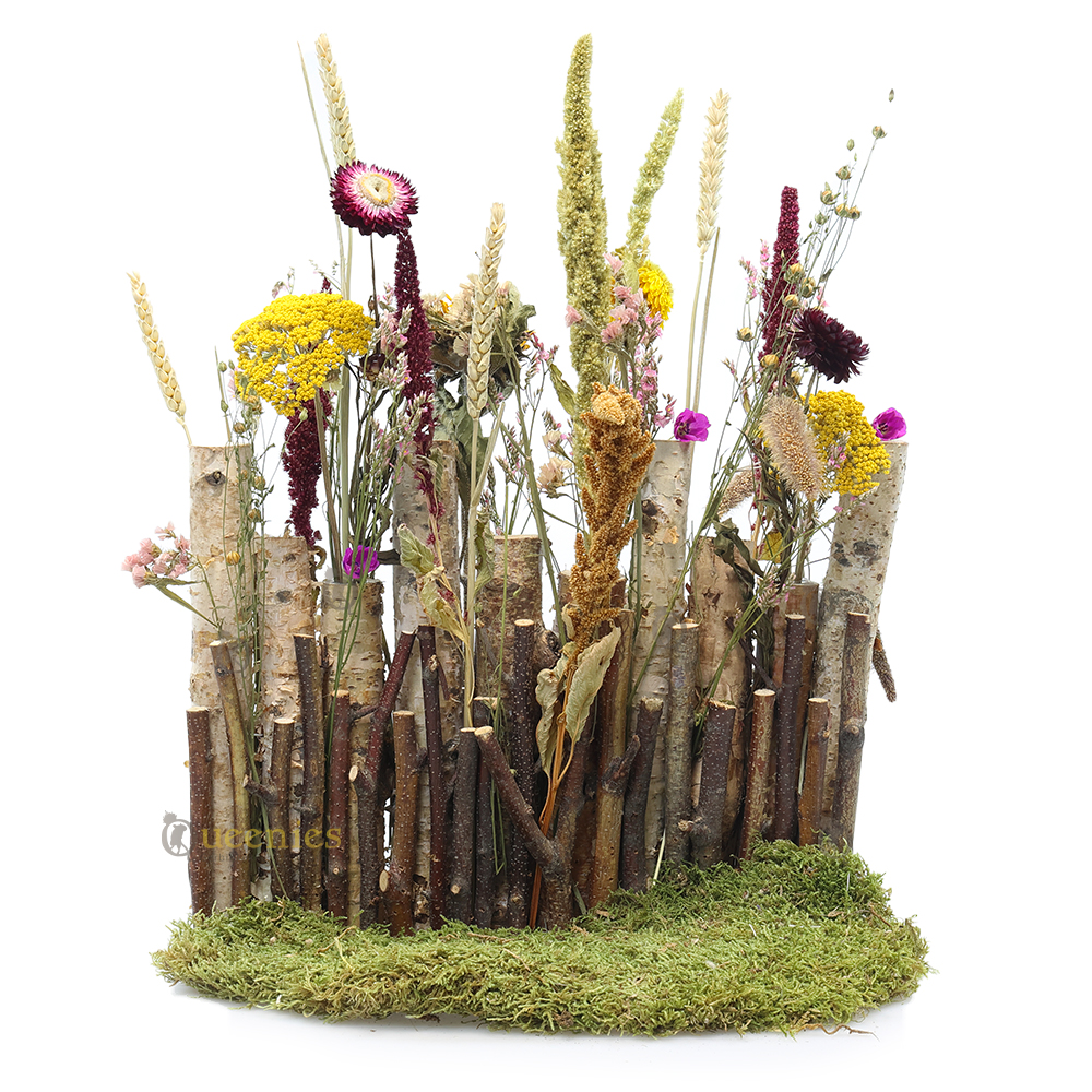 Droogbloemen houder voor hamsterscaping. Muur van dierenkruiden