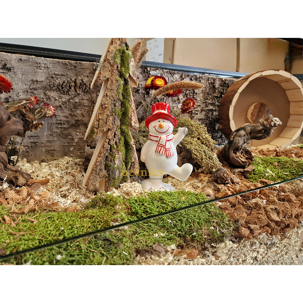 Kerstboom bedekt met mos