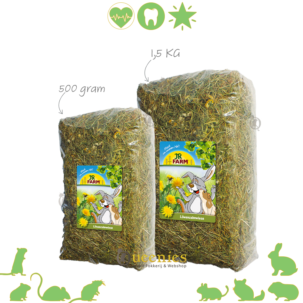  JR FARM Paardenbloem weidehooi