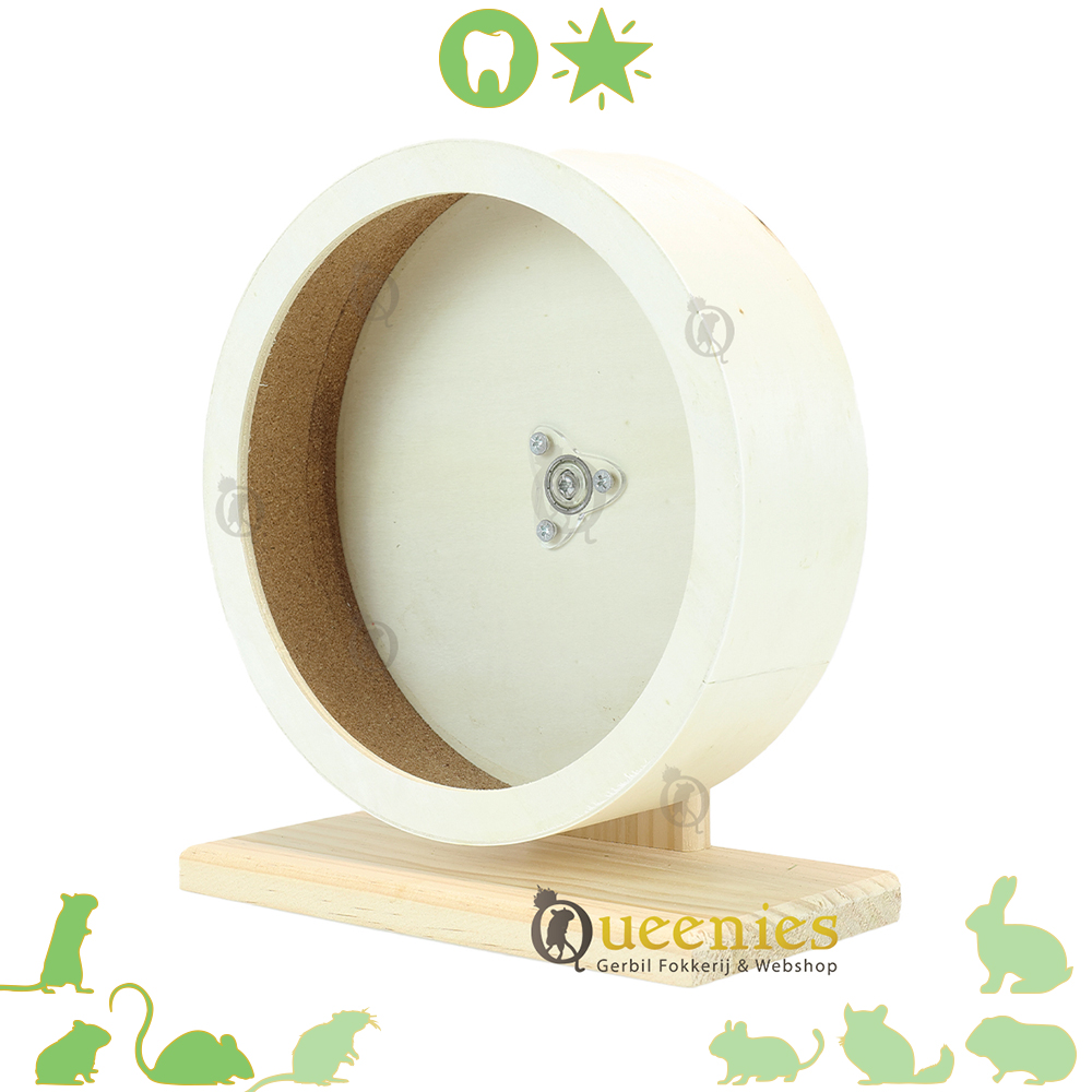 Knaagdier Loopmolen 20 cm – Loopwiel voor Kleine Knaagdieren