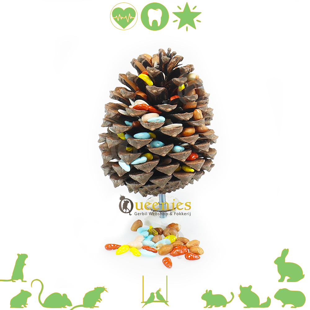 Foerageer Dennenappel Groot