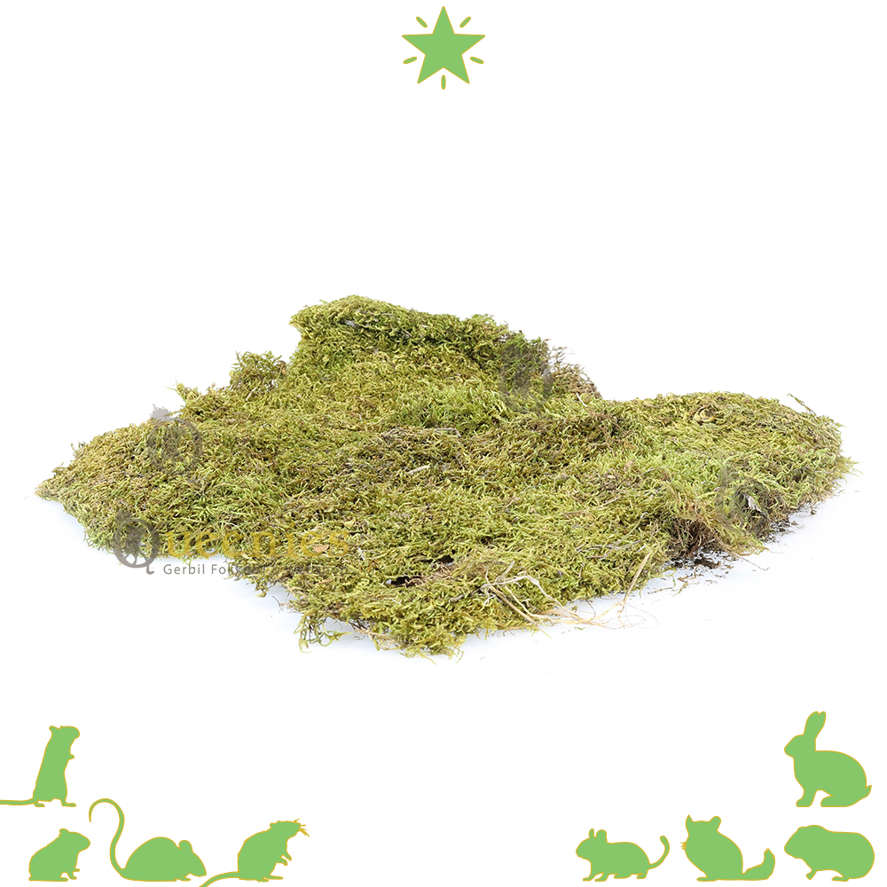 Gedroogd terrarium mos 200 gram geeft een natuurlijke uitstraling aan de knaagdierkooi!