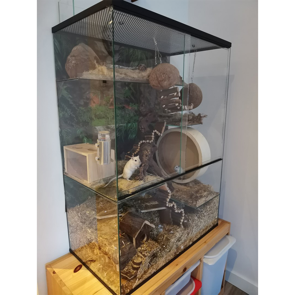 Knaagdieren Terrarium