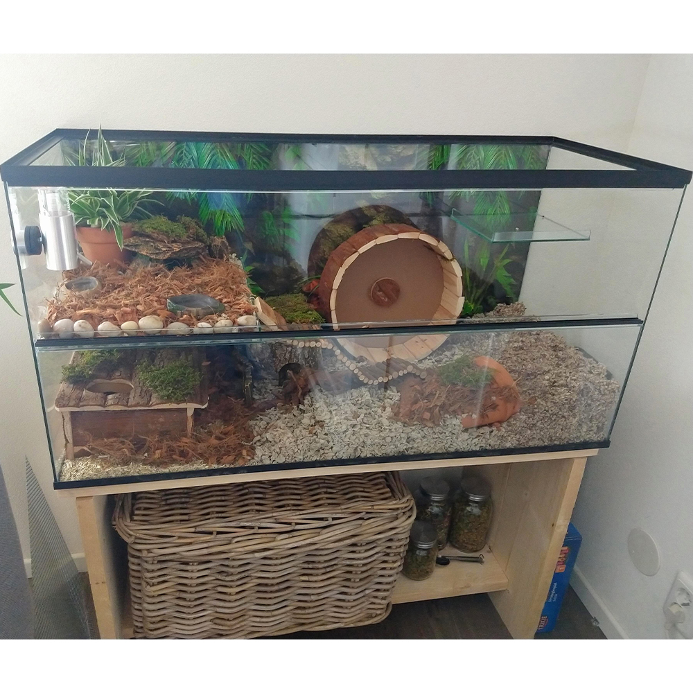 Achterwand met Hamsterscape