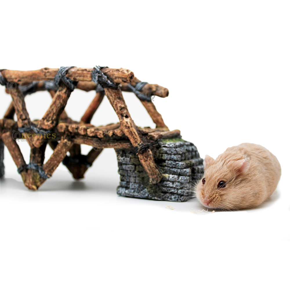 Producten om een Hamsterscape mee te maken
