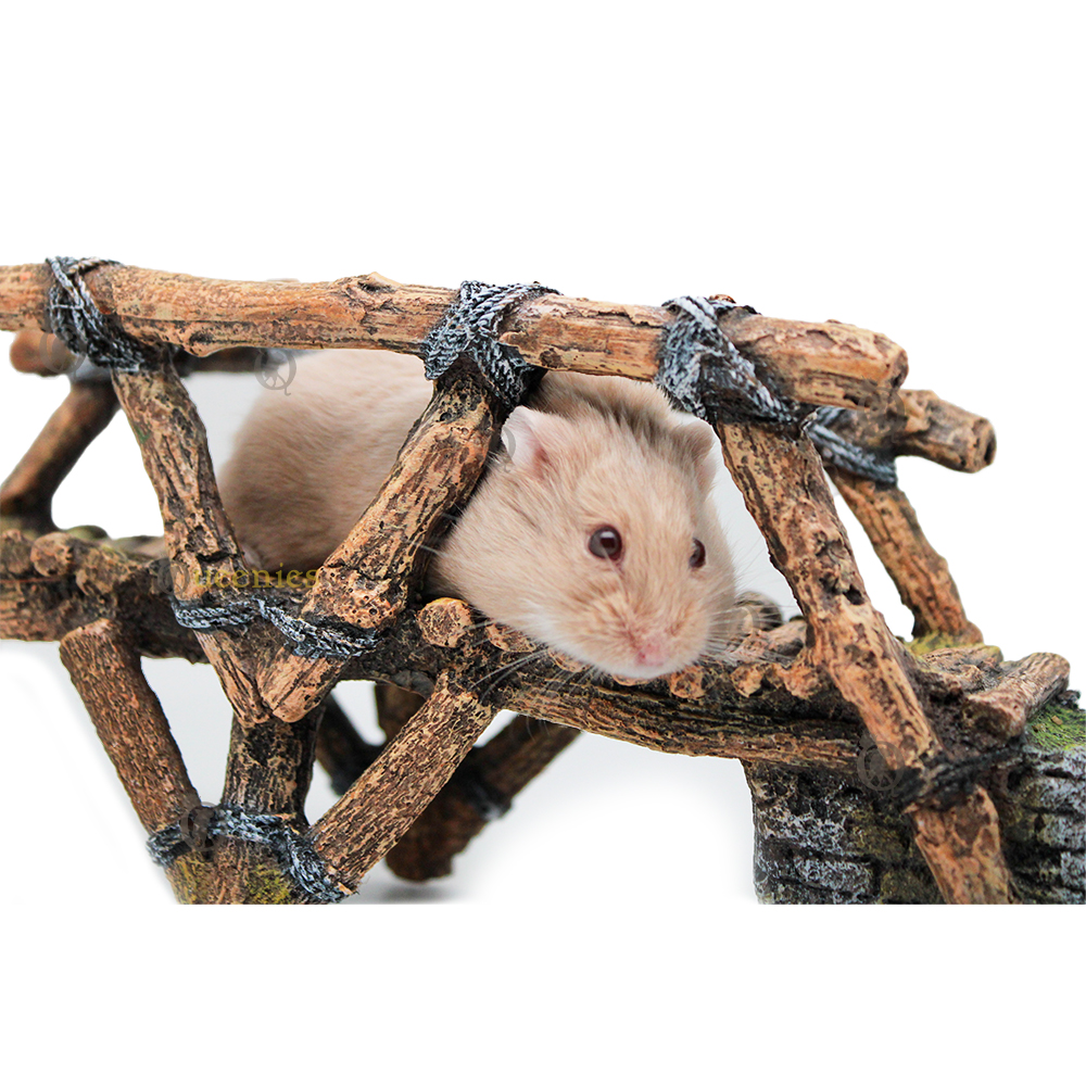 Decoratie artikelen voor Hamsterscaping