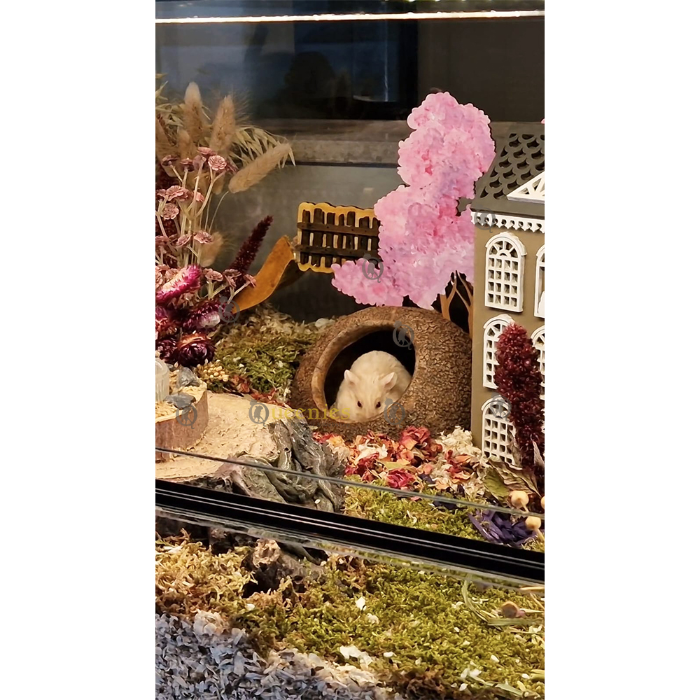 Hamster schuilplaats