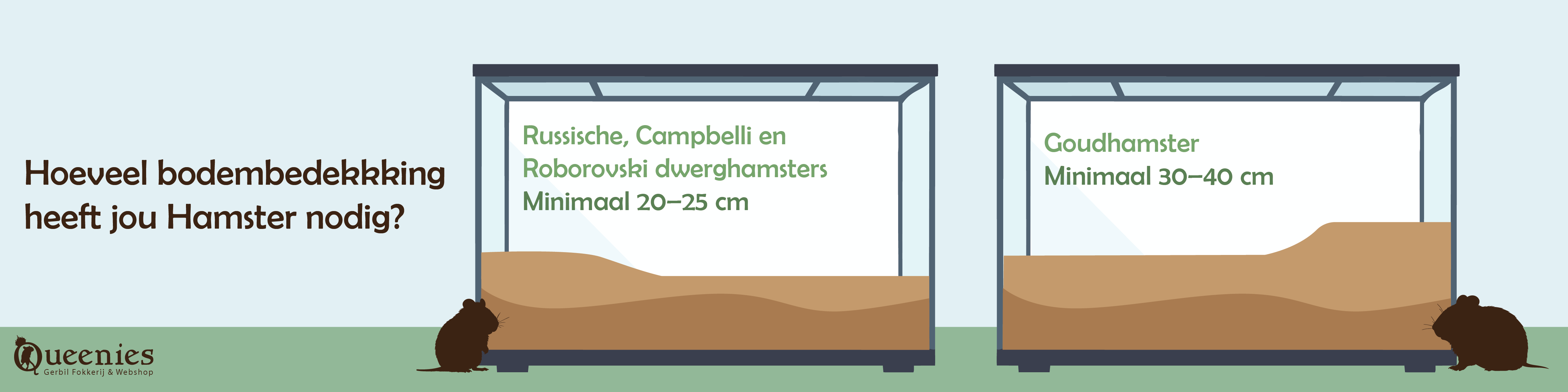 Hooi en Bodembedekking voor Knaagdieren en Konijnen