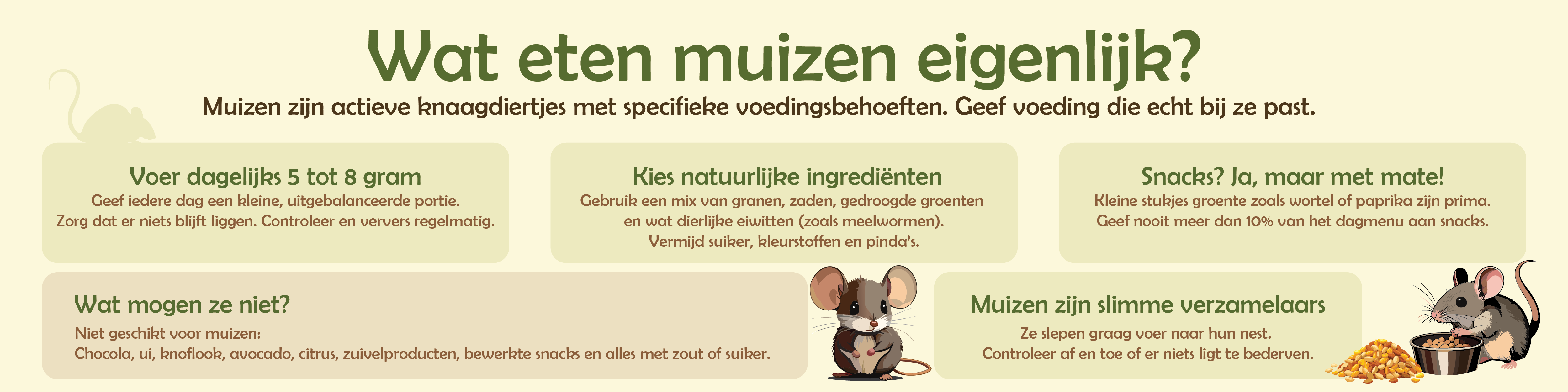 Voerbakjes voor Muizen
