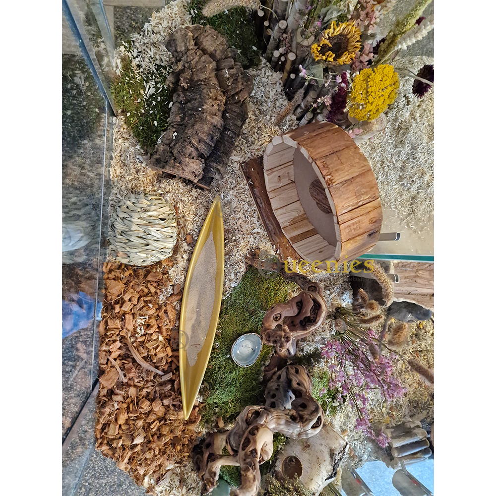 Langwerpige badzandschaal – ideaal voor hamsterscaping