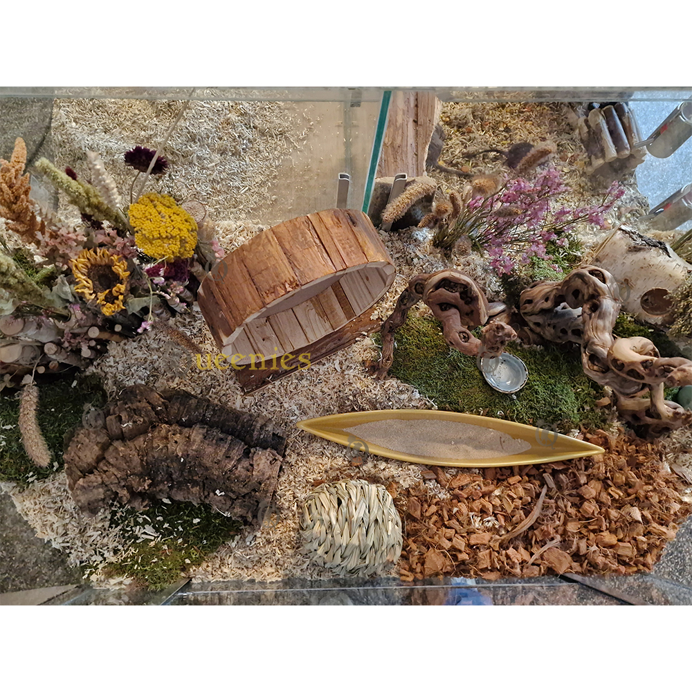 Langwerpige badzandschaal – ideaal voor hamsterscaping