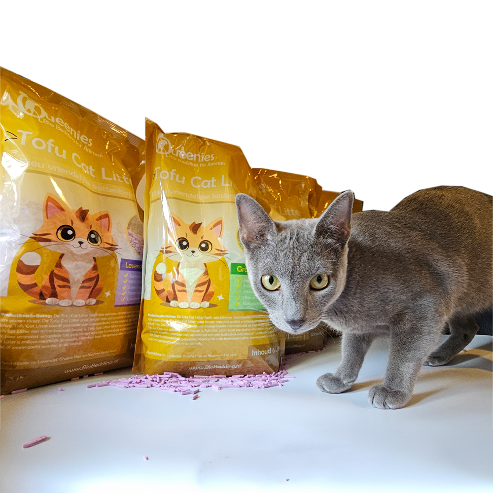 Katten verkennen dozen en Tofu Cat Litter