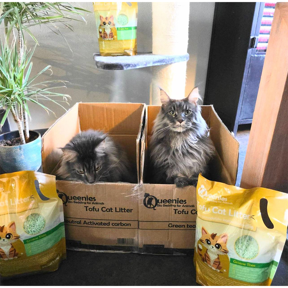Katten en duurzame Tofu Cat Litter.