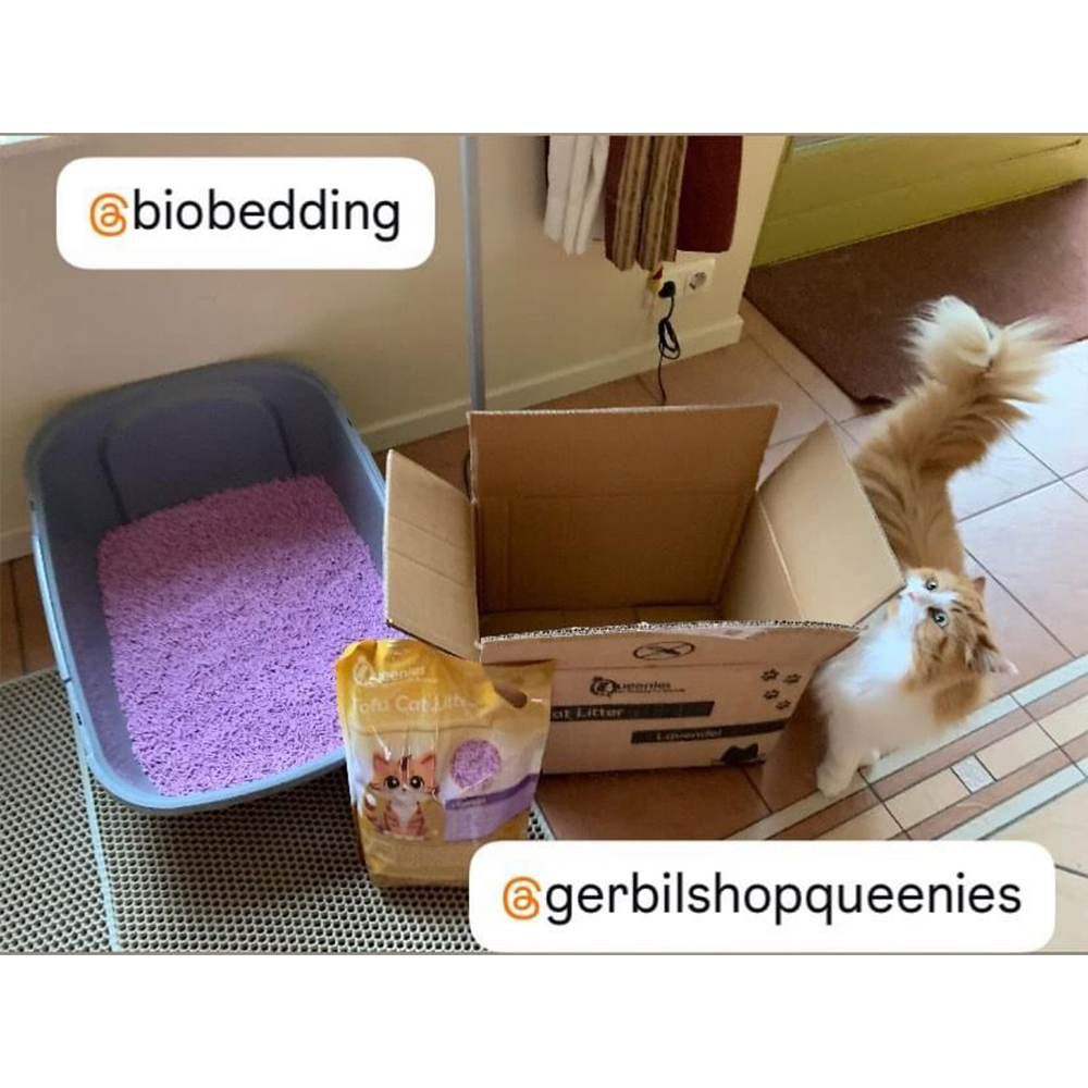 Tofu cat litter gebruiken