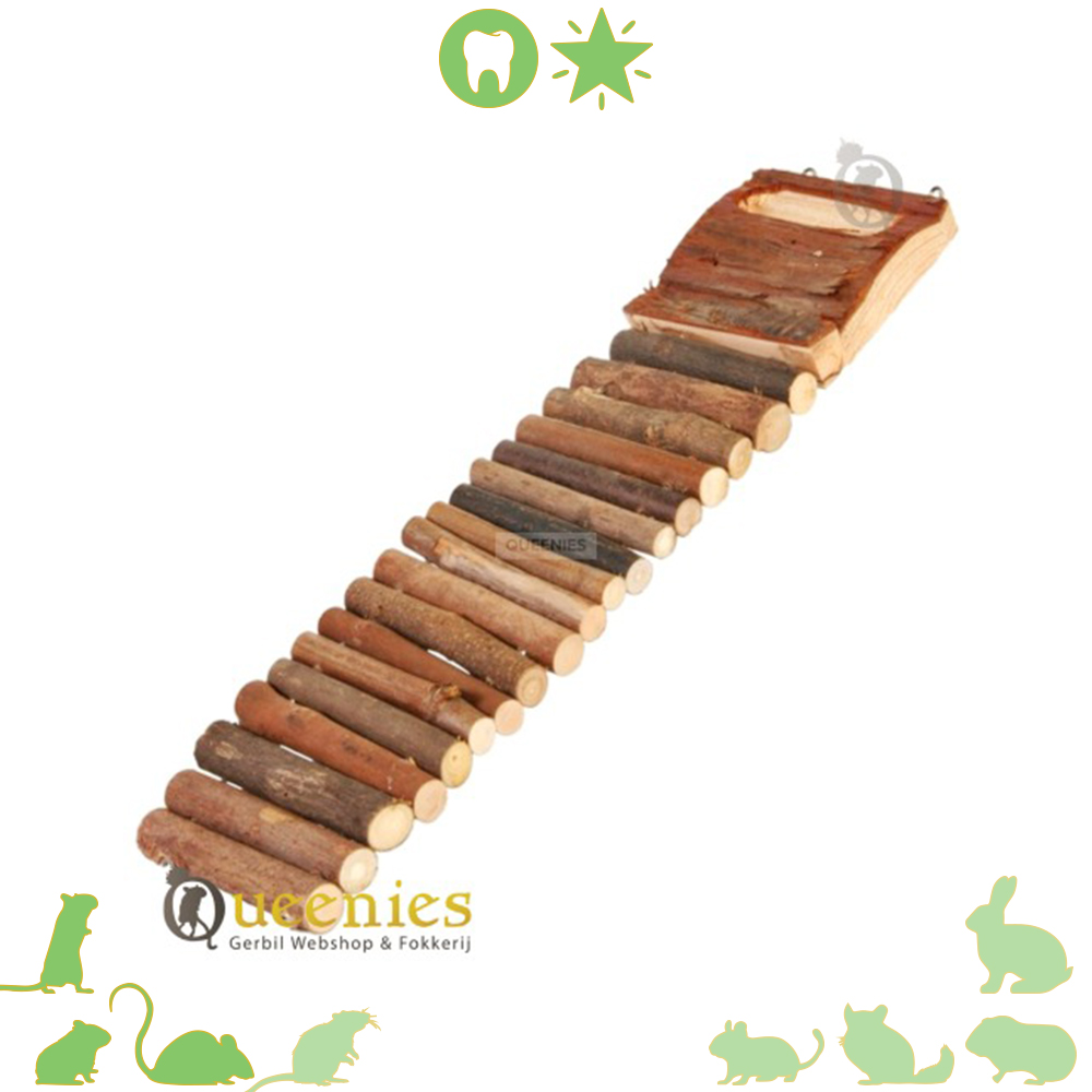 Buigzame ladder