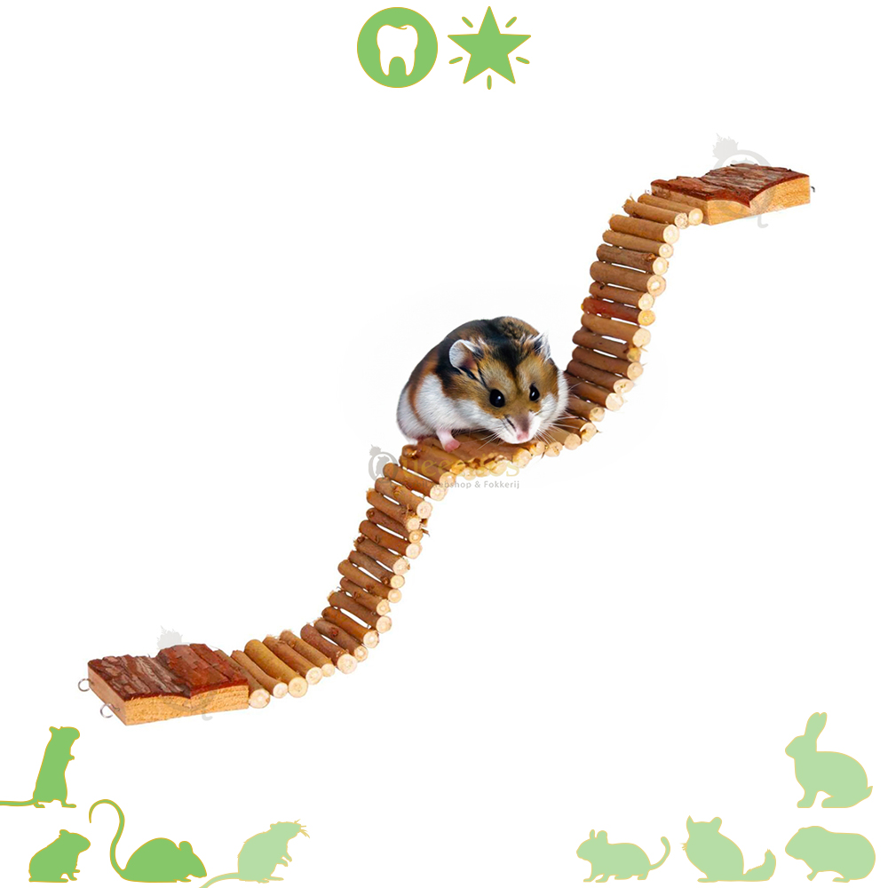 Buigzame ladder 55 cm - Houten Wilgenladder