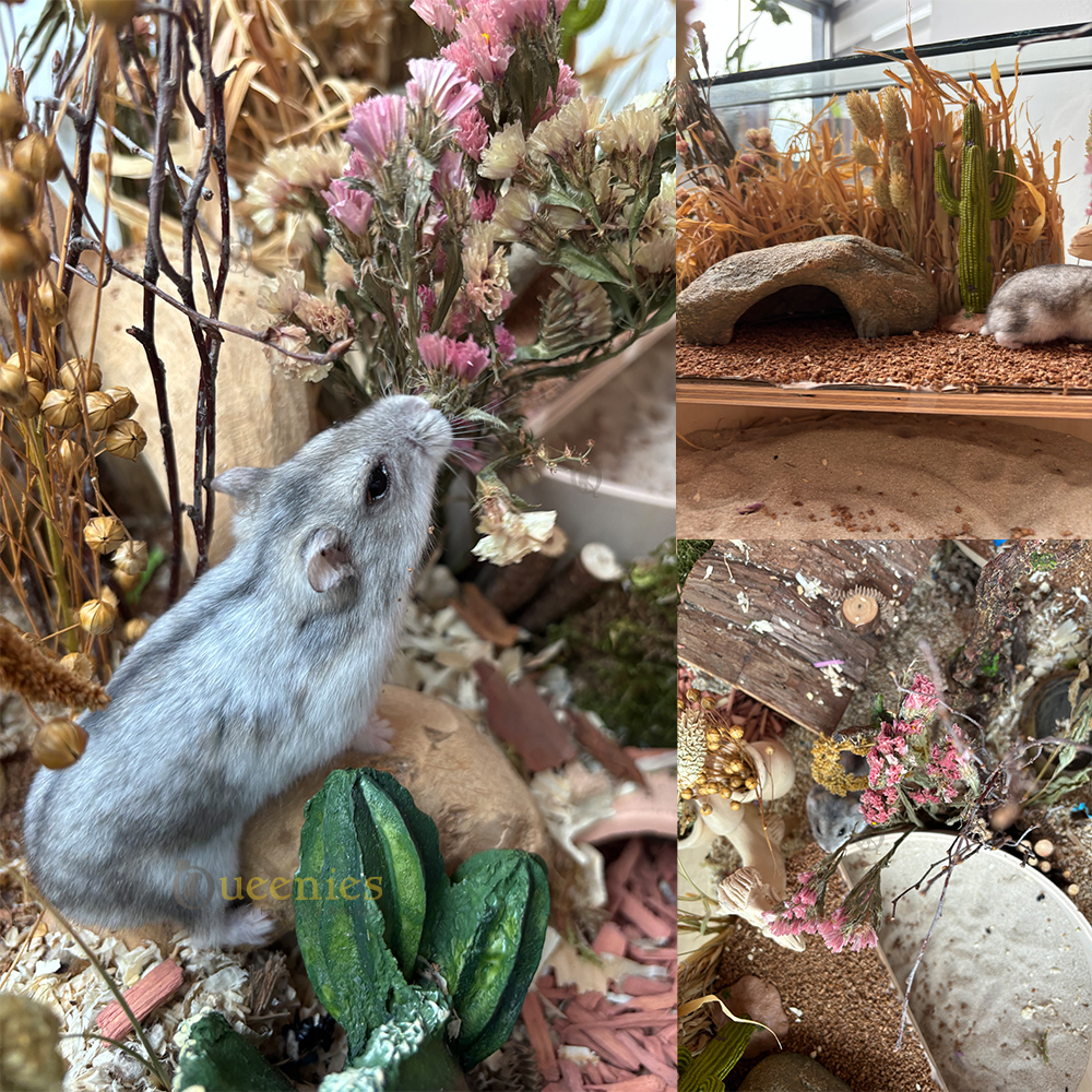 Steppe schuilplaats 17 cm