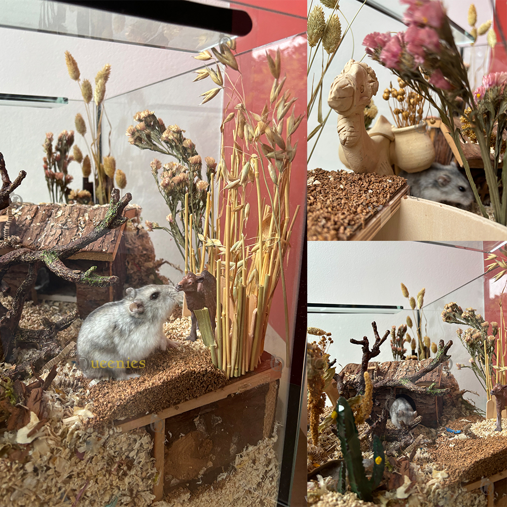 Boerderij huisje Hendrik 15 cm