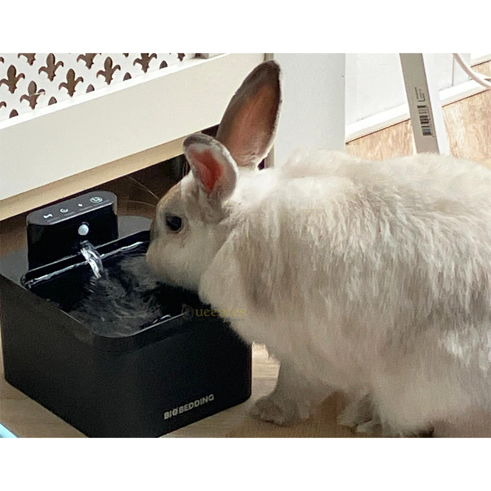 Water en voerbakken voor Konijnen