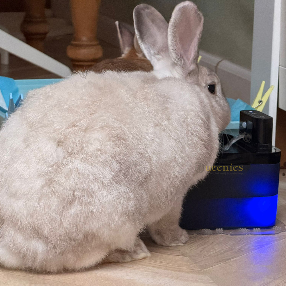 Drinkfontein voor konijnen