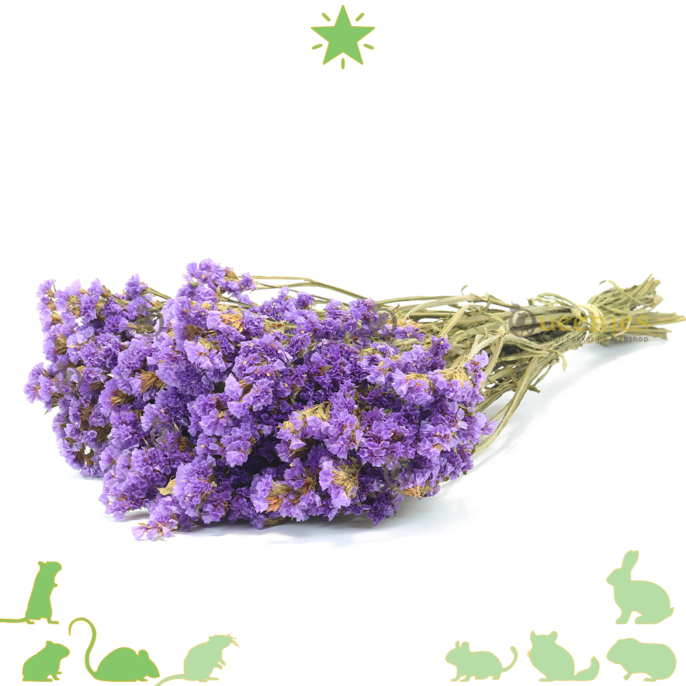 Lamsoor Ultraviolet 100 gram – kleurrijk voedingssupplement voor Knaagdieren