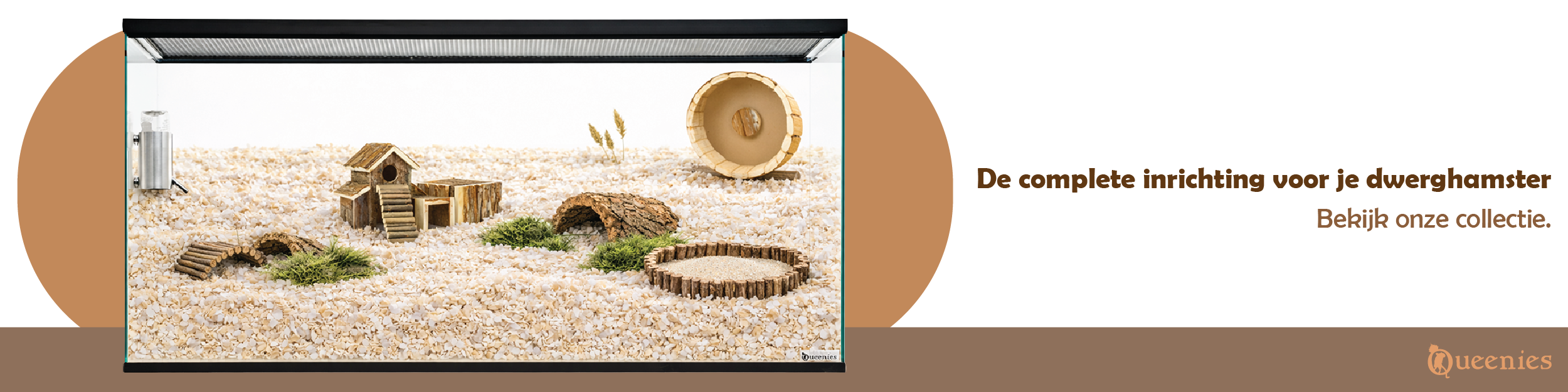 Dwerghamster artikelen