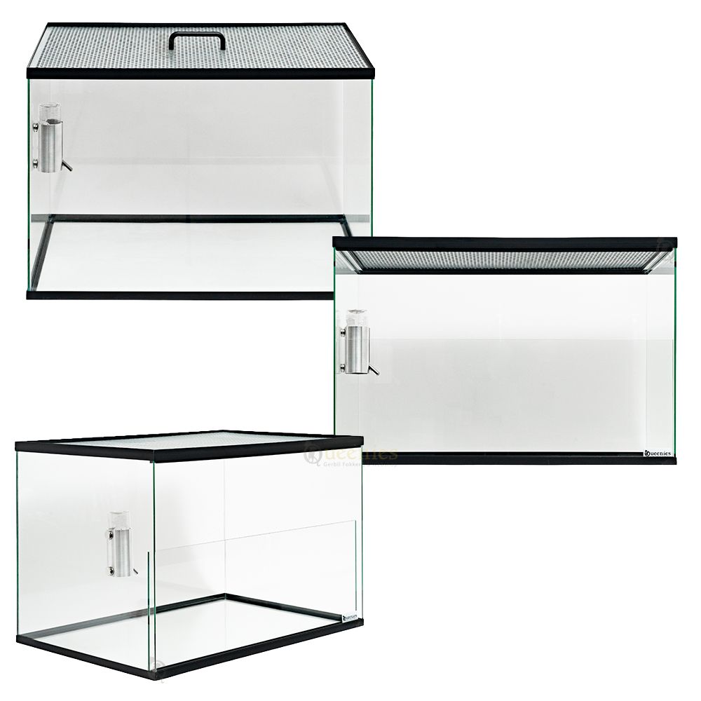 Dwerghamster terrarium