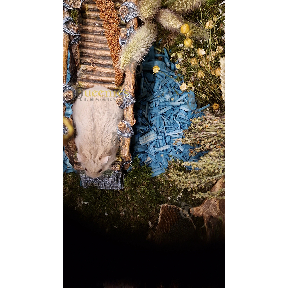 Hamsterscape Brug 26 cm