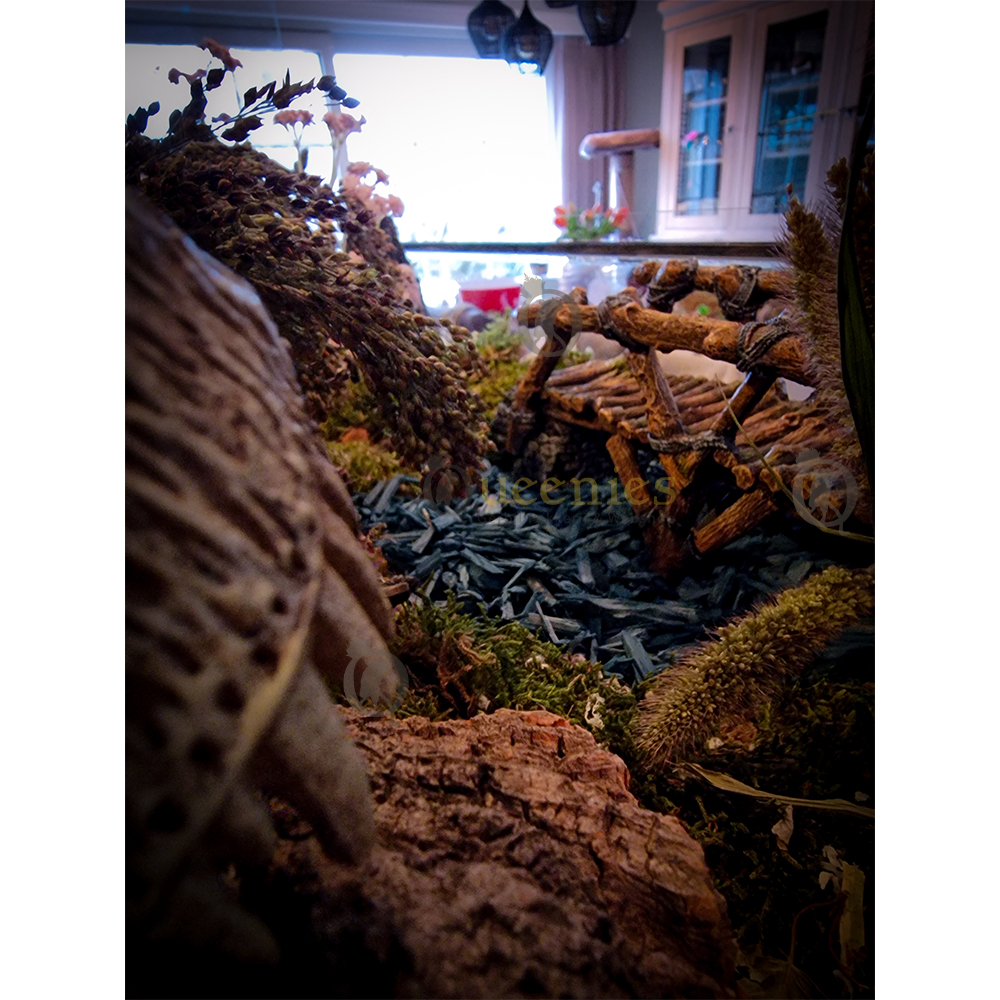 Hamsterscape Brug 26 cm - Ontdek de kunst van Hamsterscaping