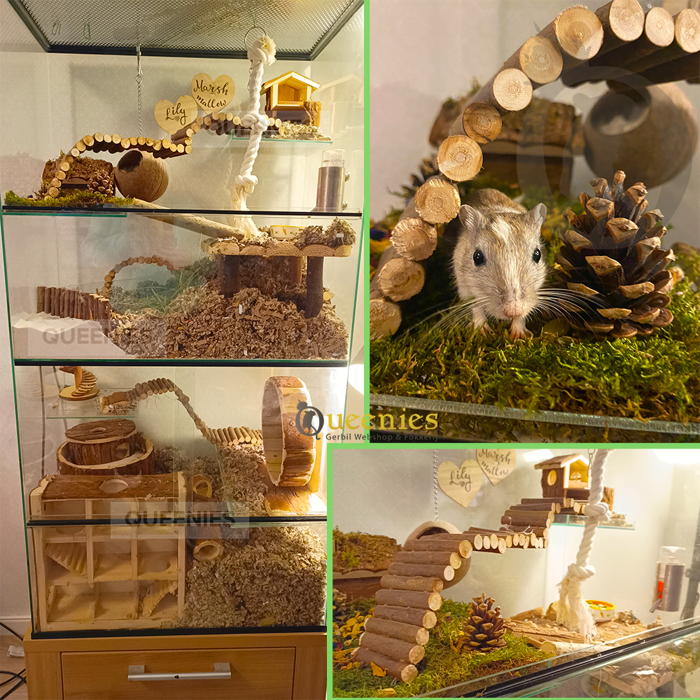 Knaagdierenhuisjes