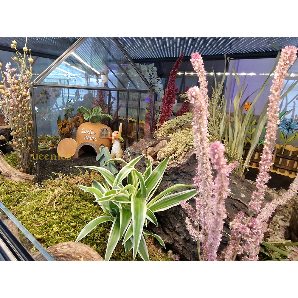 Bloemen en planten