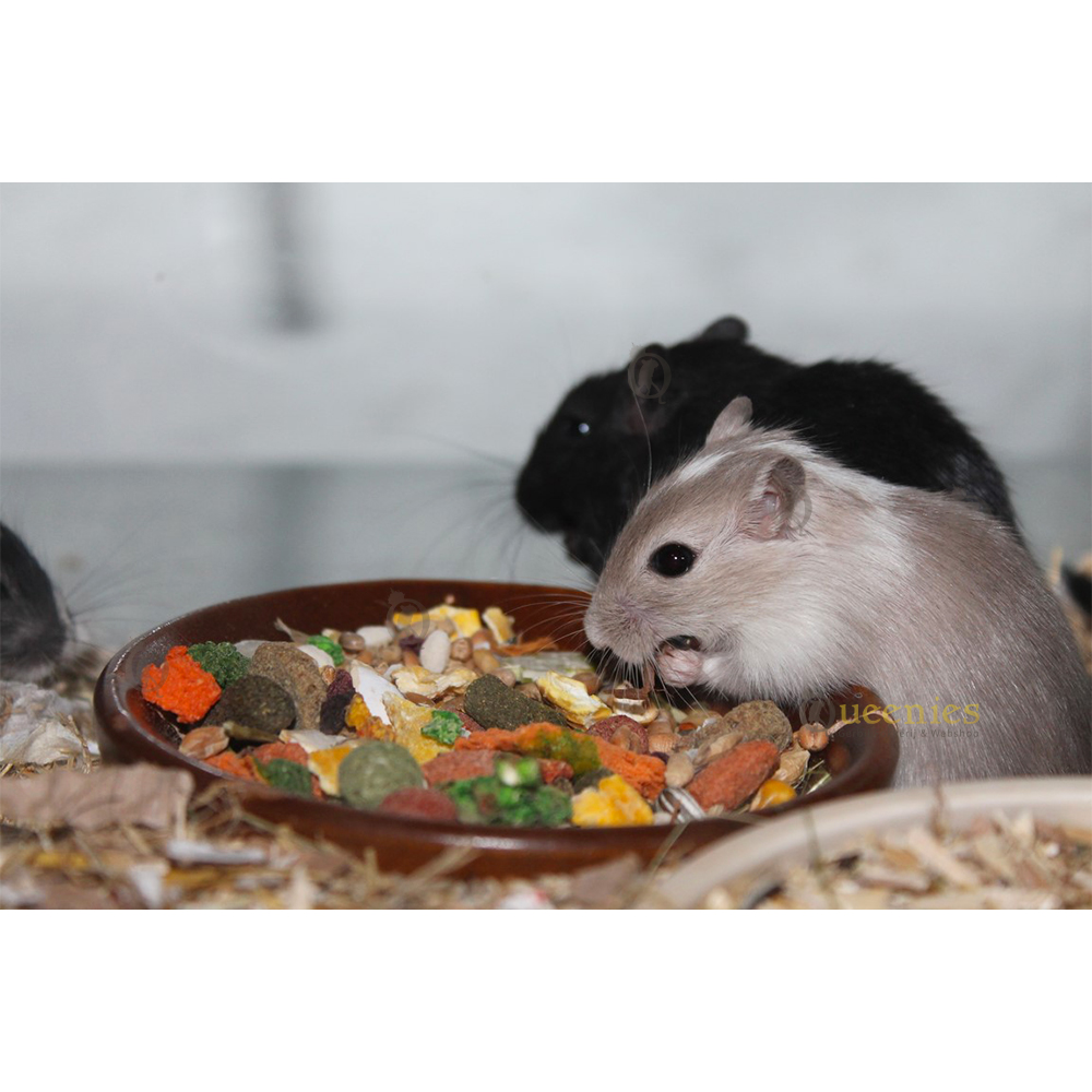 JR Farm snack en producten