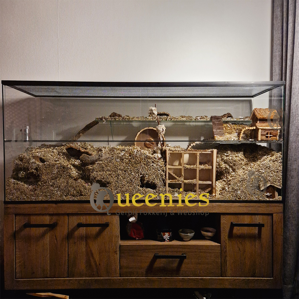 Doolhof Toren - Een geweldige Labyrinth