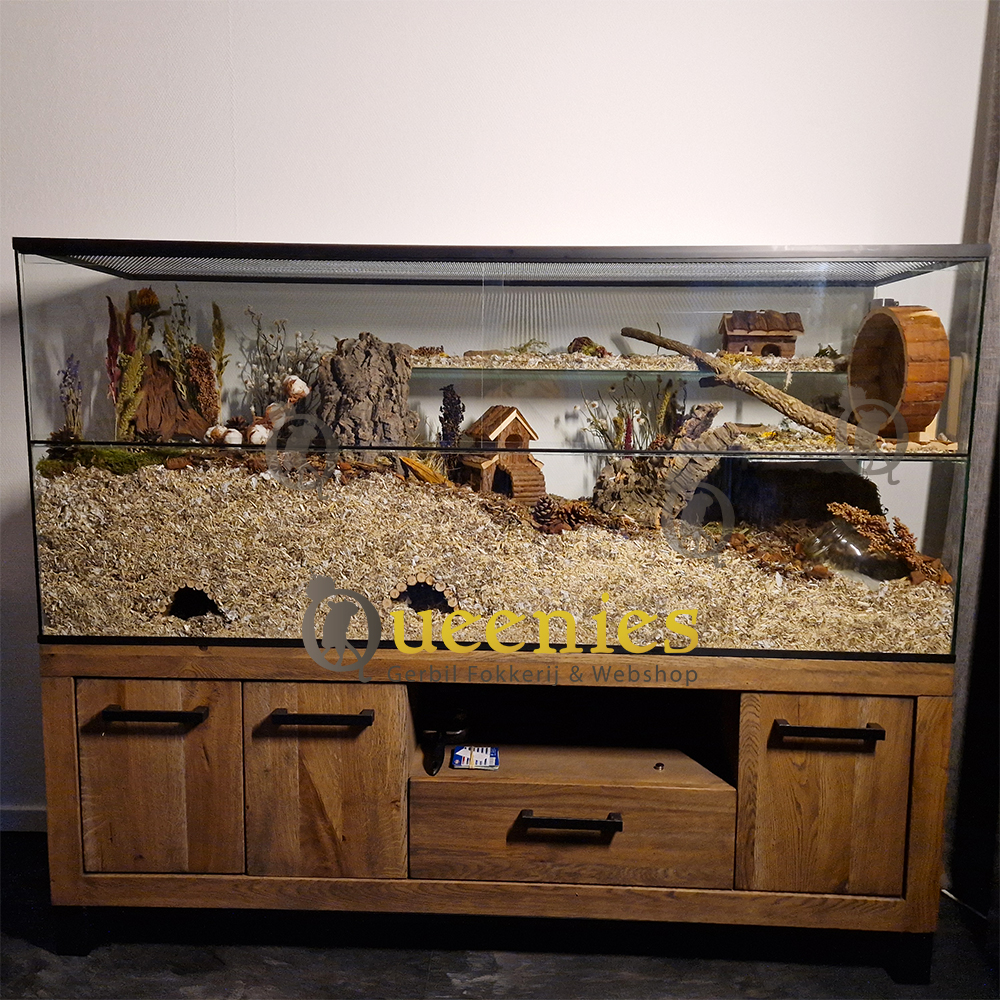 Knaagdieren Huisje Finn 