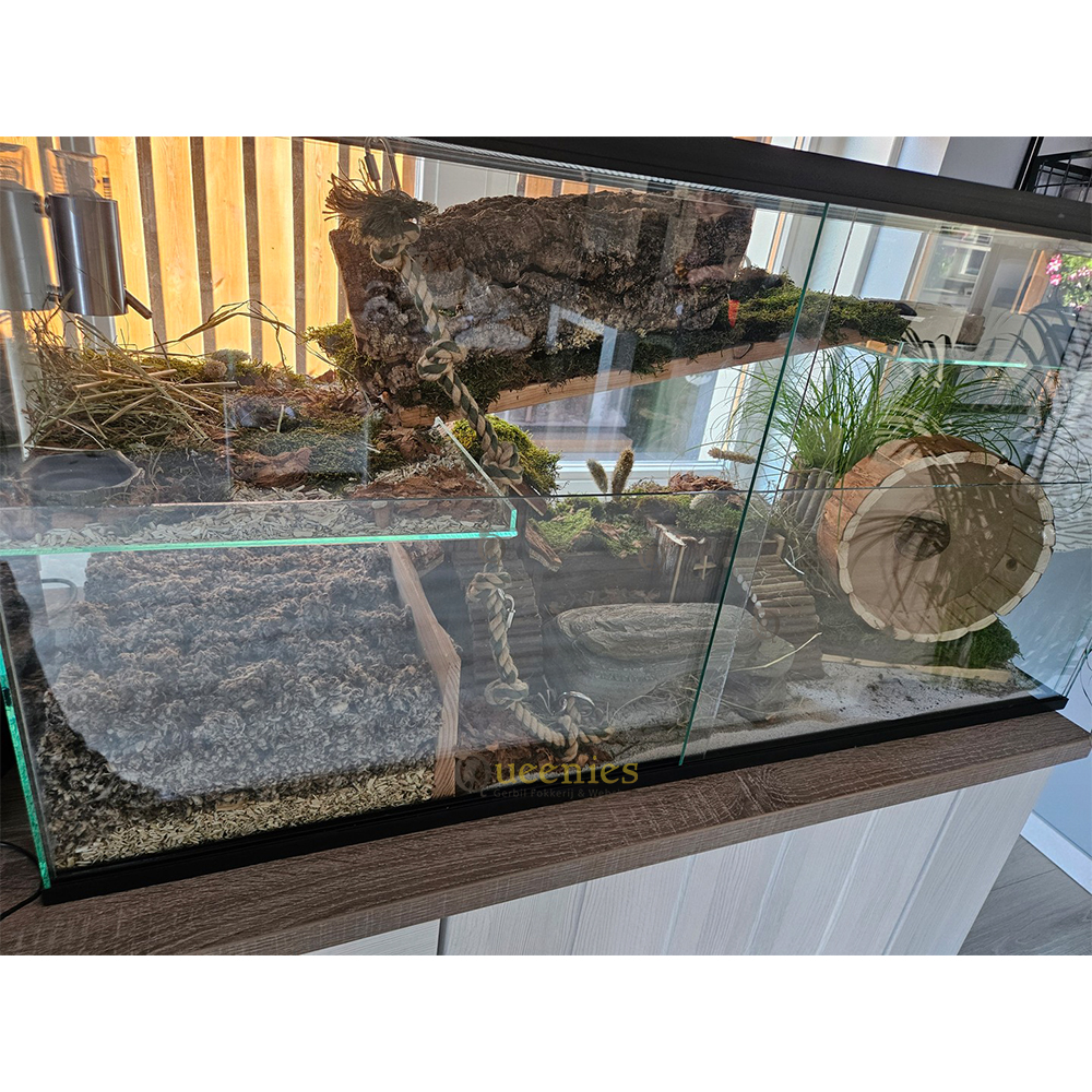 Een natuurlijke schuilplaats gemaakt van kurk 