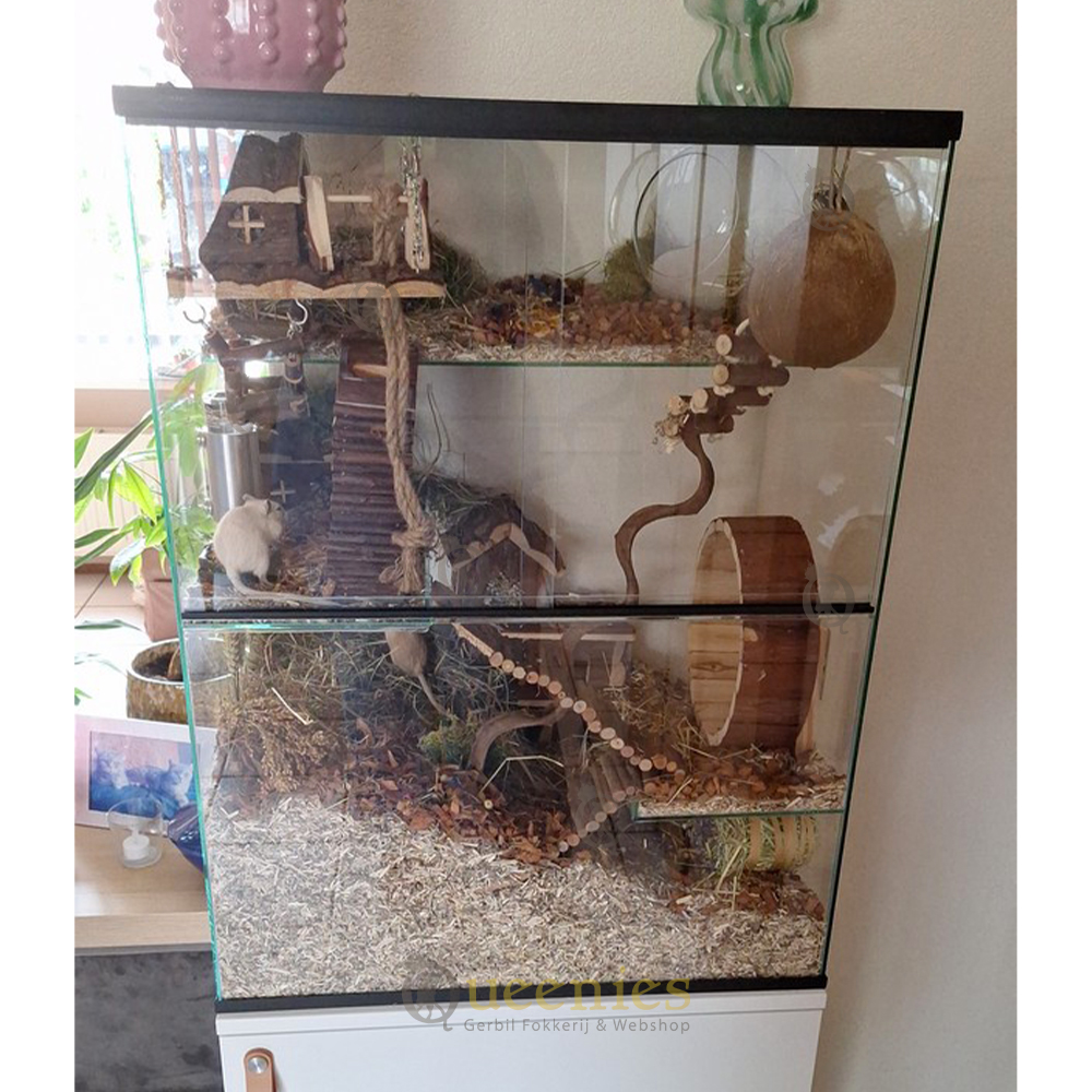 Houten renrad voor Goudhamster