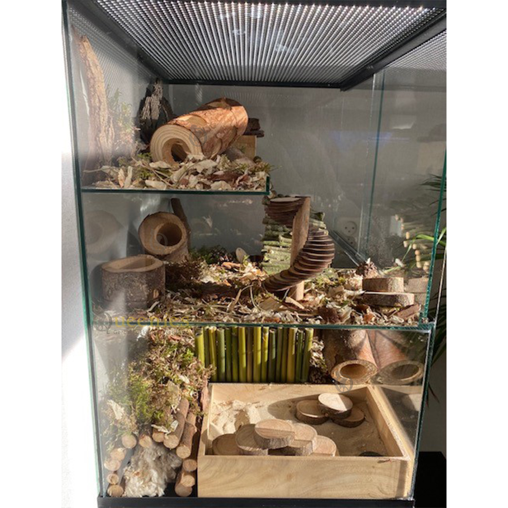 Grote Boostam Tunnel