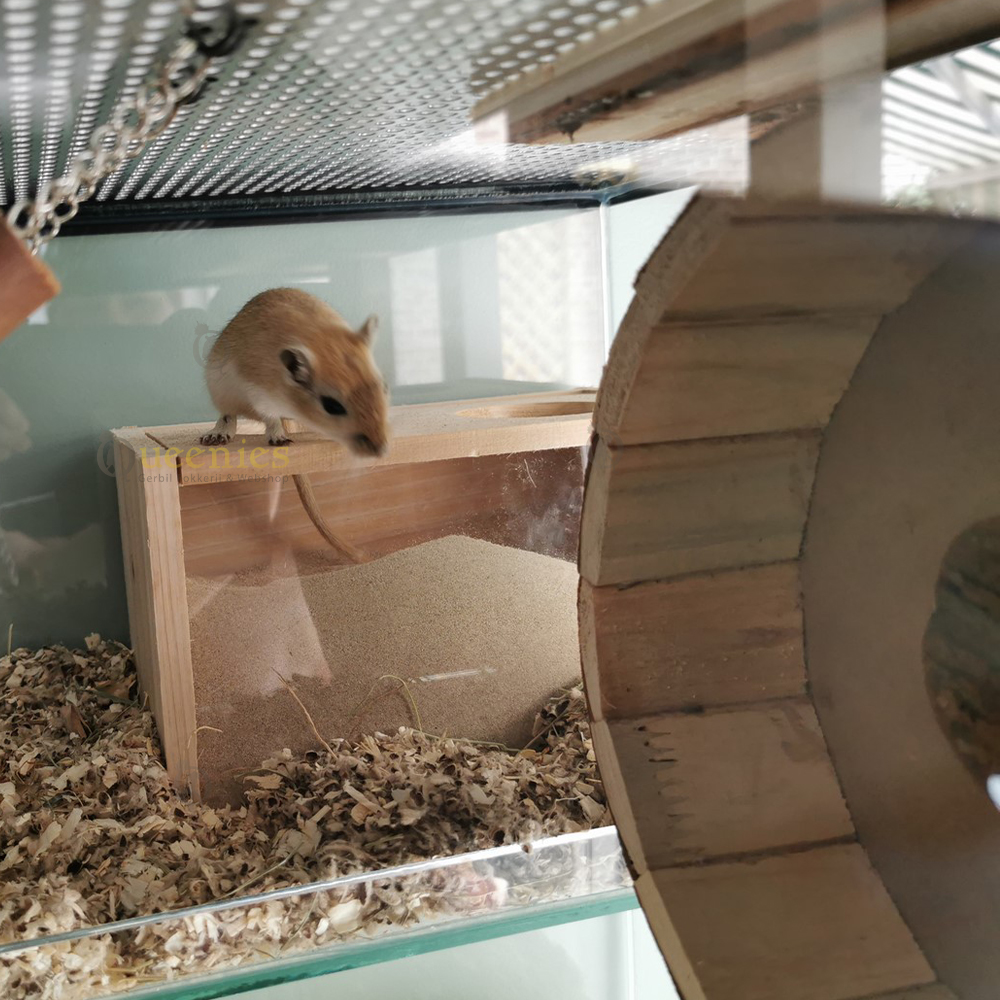 Badzand huis Trixie Groot met 2 ingangen – Ruime zandbak