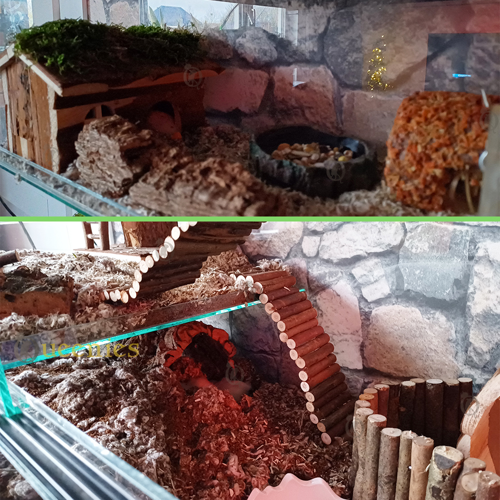 Achterwand voor Terrarium