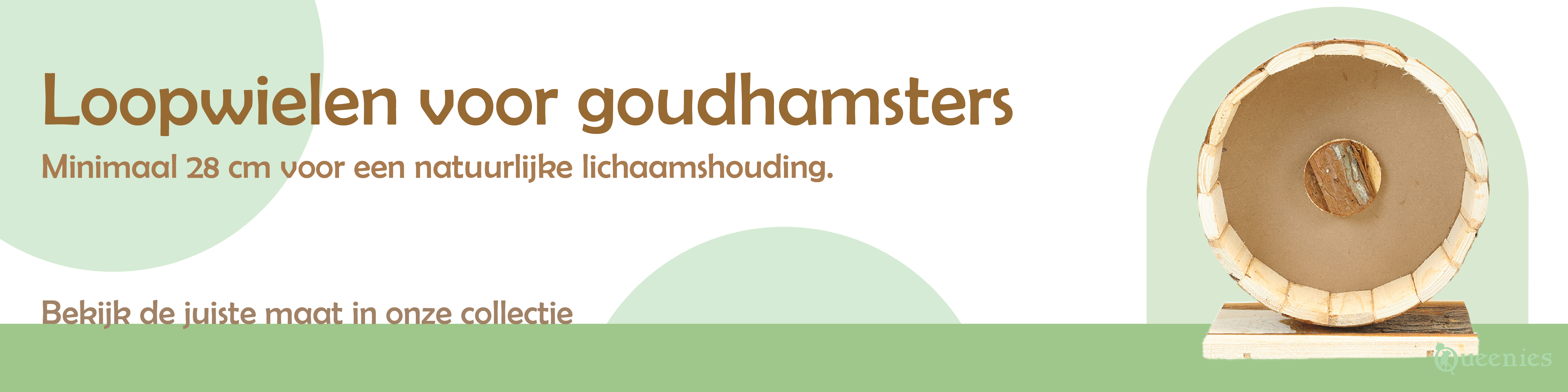 Goudhamster loopwielen