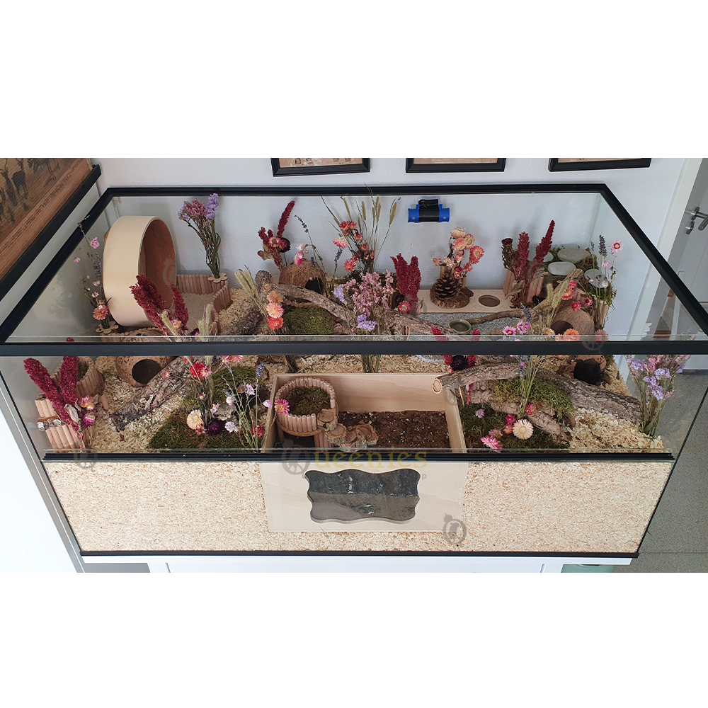 Amarant Oogst - Gedroogde kruiden